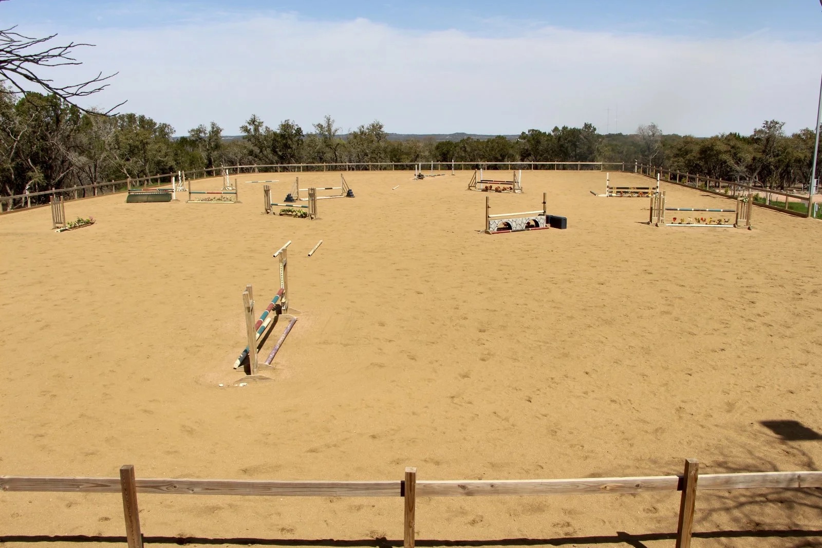 Shaded turnout at Coraggio Equestrian