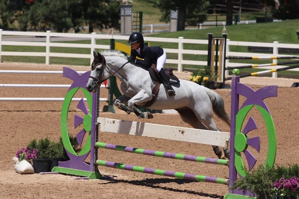 Vertigal, offered through Coraggio Equestrian